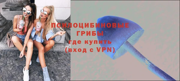 спиды Карпинск