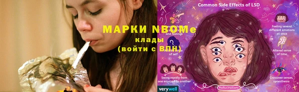 метадон Касимов