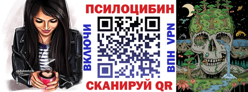Галлюциногенные грибы GOLDEN TEACHER  Купить  Семикаракорск 